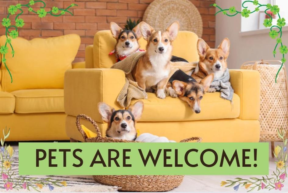 Pet Friendly! Hot Tub, 2mins From Main, Fire Pit * Fredericksburg